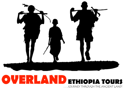 Placeholder Logo